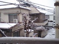 080203_snow.jpg